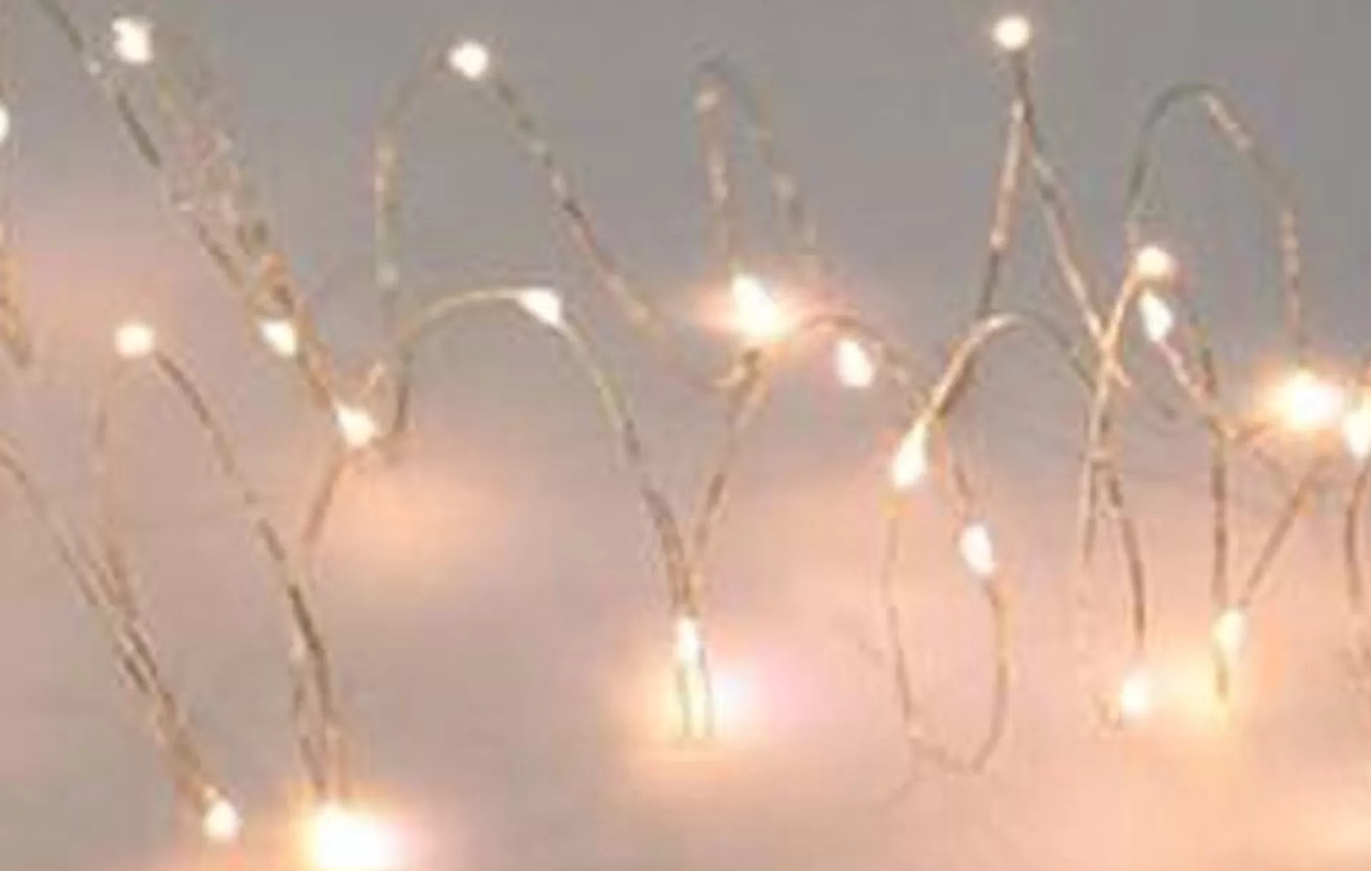 Merkloos 2X Draadverlichting Zilver Met Warm Witte Led Lampjes 2 Meter Op Batterijen Met Timer - Kerstverlichting Lichtsnoeren Online