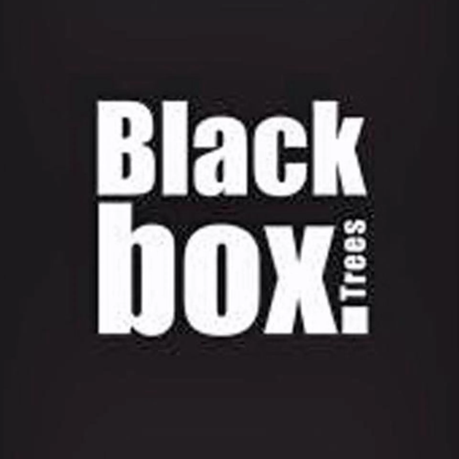 Black Box Bolton Kerstboom Met Warmwit Led Groen 320 Lampjes Tips 2980 Maat In Cm: 230 X 145 - Groen Fashion