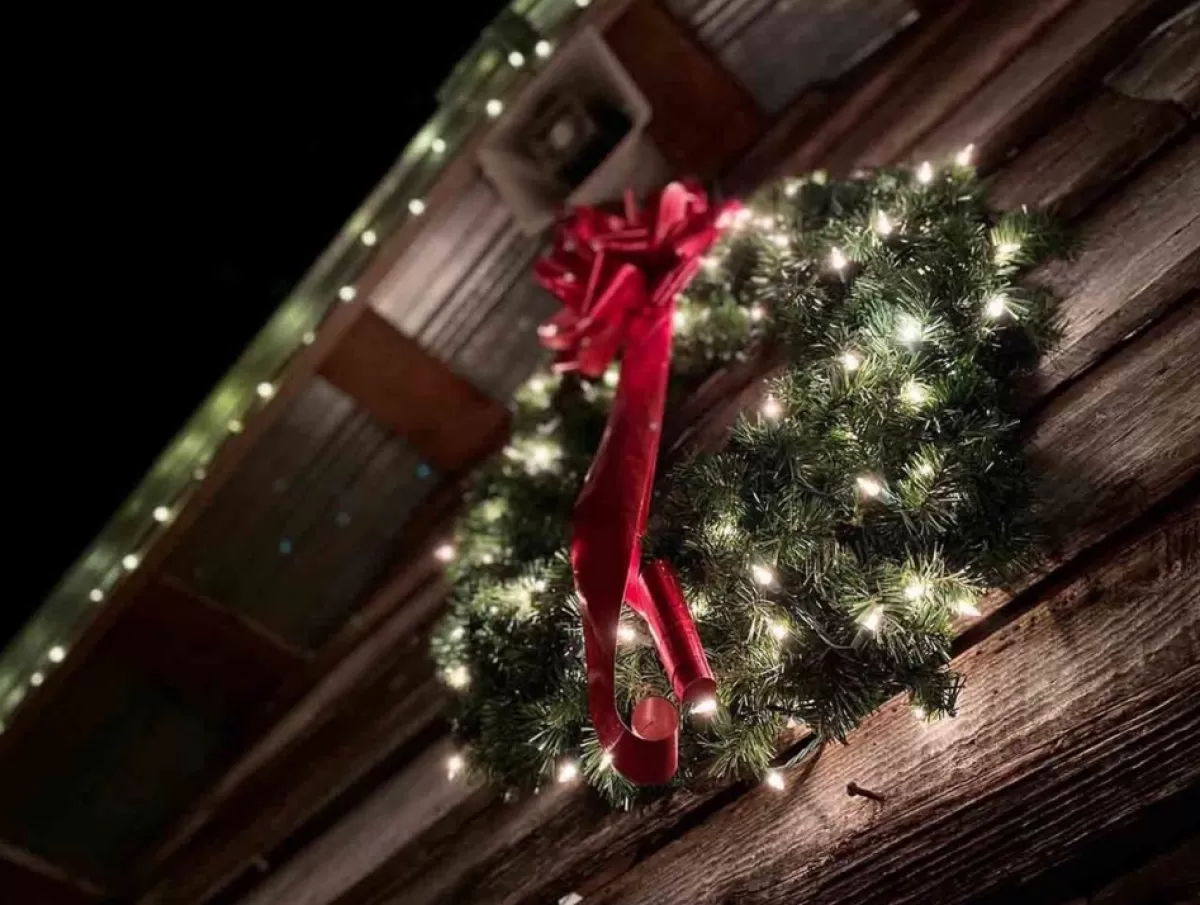 Black Box Kerstkransen> Trees Norton Kerstkrans Met Led Verlichting - O60 Cm - Groen
