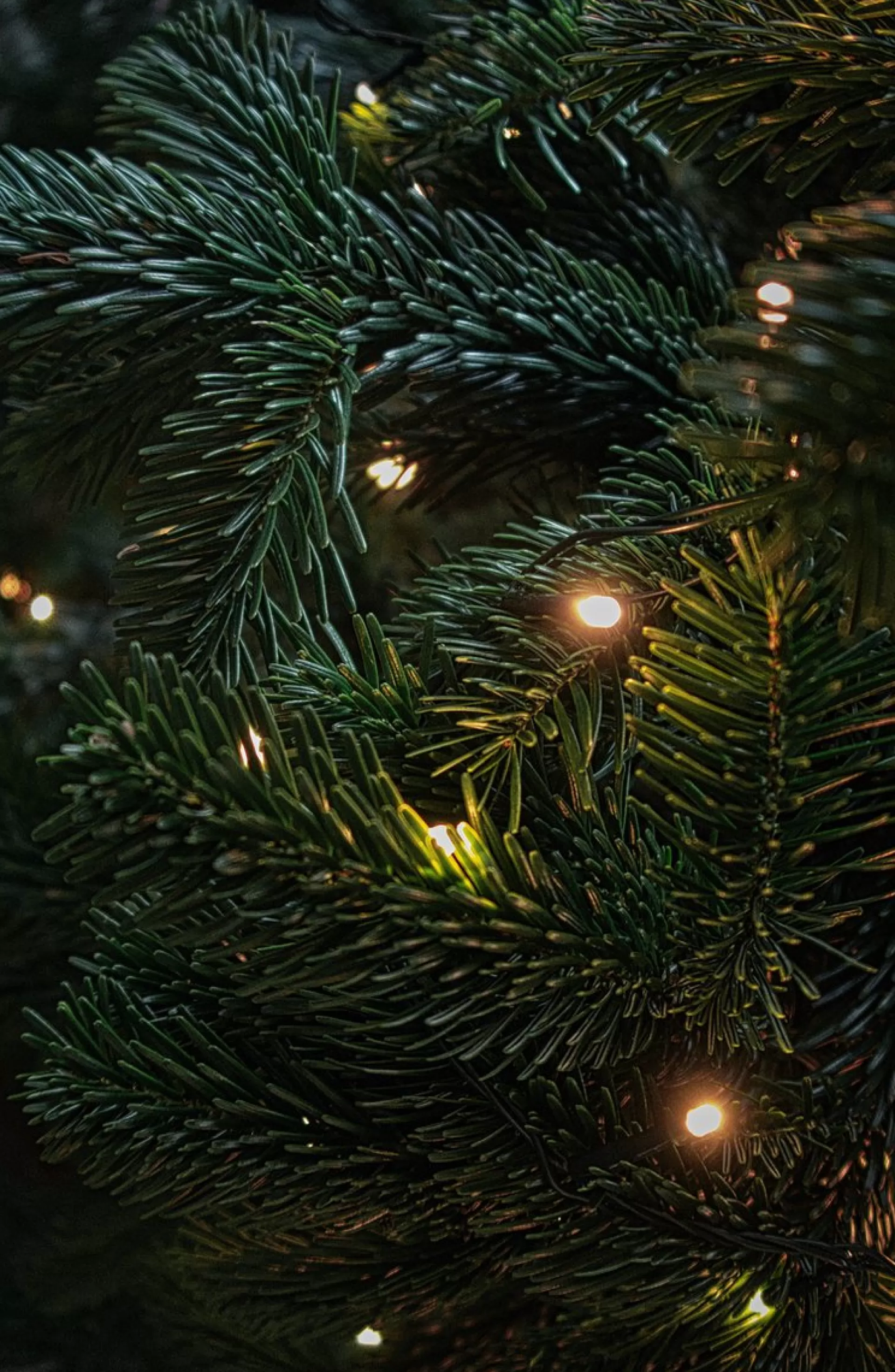 Grundig Kerstverlichting - 20 Led Lampjes - 302 Cm- 3.2 Meter - Warm Wit - 220V Outlet