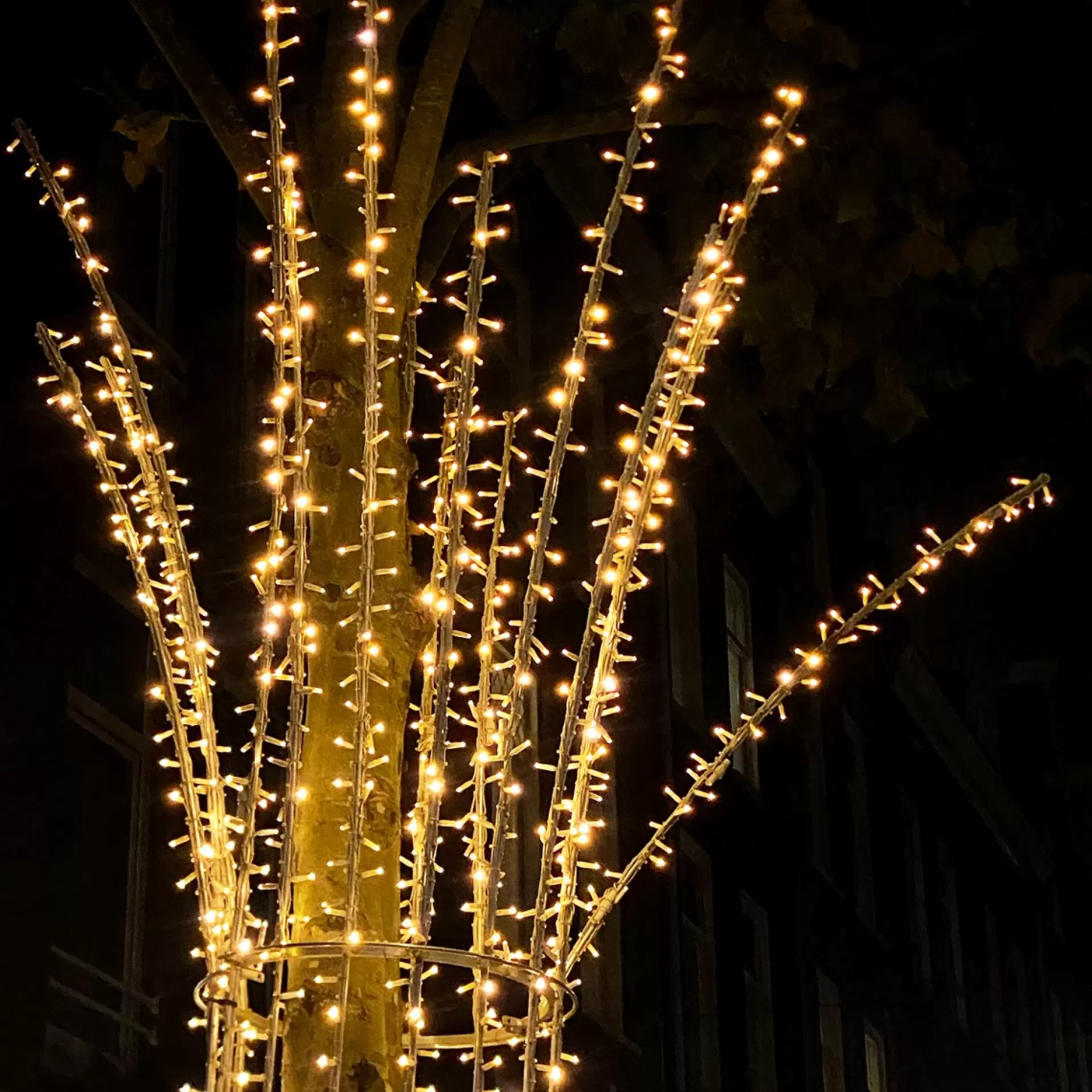 Solistech Led Kerstverlichting Eter Koppelbaar - 300 Lichtpuntjes - Ip65 Waterdicht - Extra Warm Wit 2200K - Hoogwaardige Rubberen Kabel - Energiezuinig 18W - Incl. Stekker 30 M Cheap