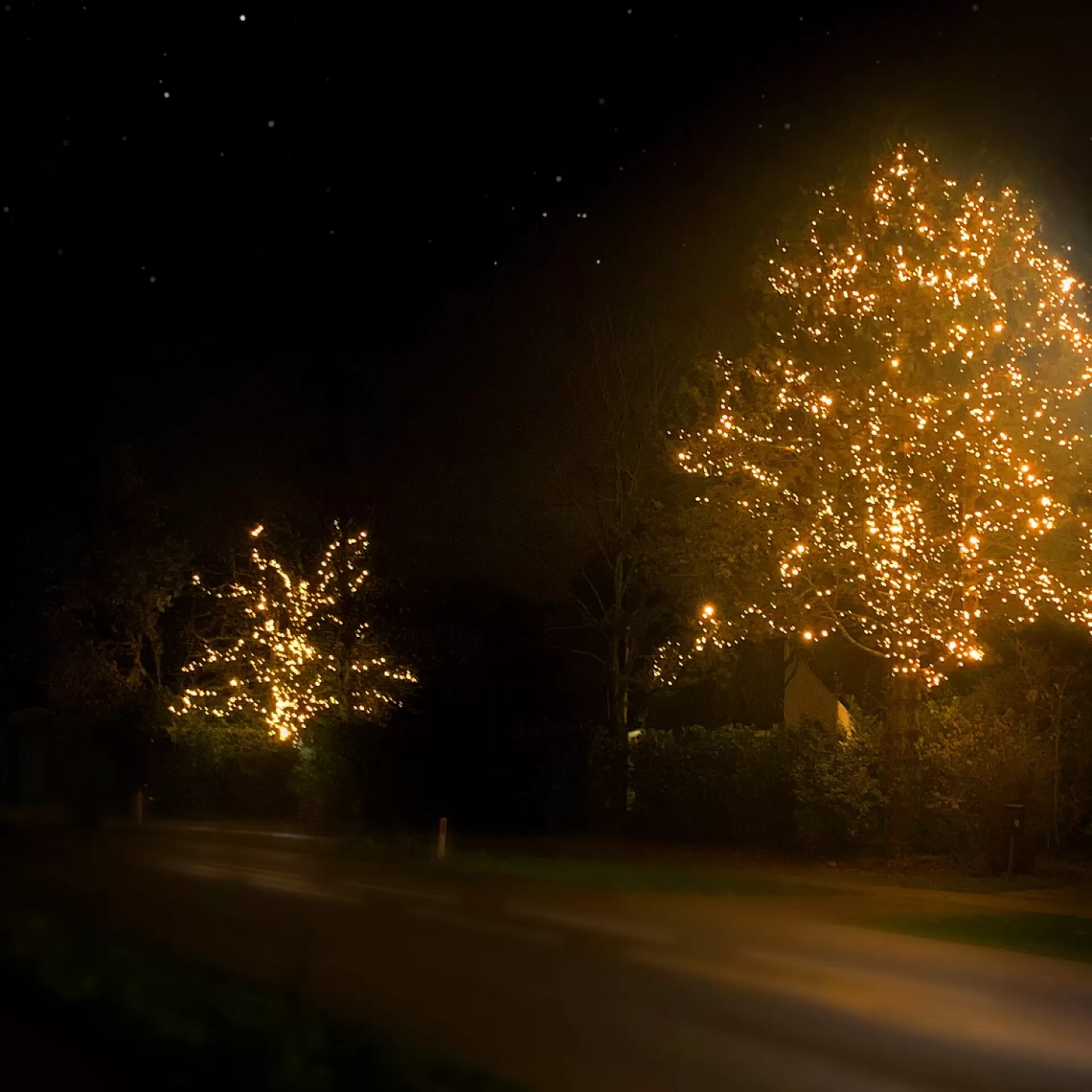 Solistech Kerstlichtsnoeren>Led Kerstverlichting Eter Koppelbaar - 50 Lichtpuntjes - Ip65 Waterdicht - Extra Warm Wit 2200K - Hoogwaardige Rubberen Kabel - Energiezuinig 3W - Incl. Stekker 5 M