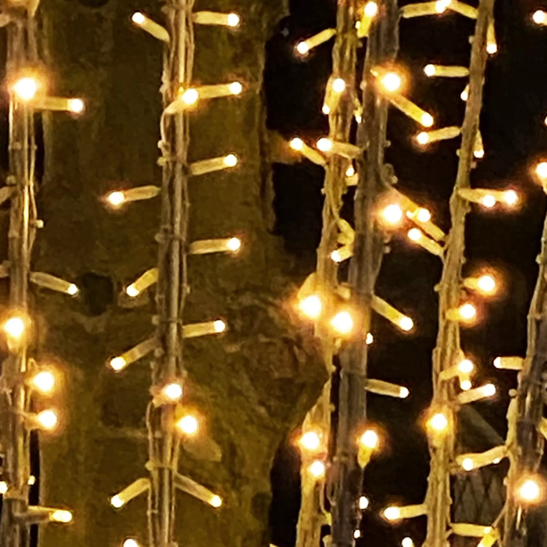 Solistech Kerstlichtsnoeren>Led Kerstverlichting Eter Koppelbaar - 50 Lichtpuntjes - Ip65 Waterdicht - Warm Wit 2700K - Hoogwaardige Rubberen Kabel - Energiezuinig 3W - Incl. Stekker 5 M