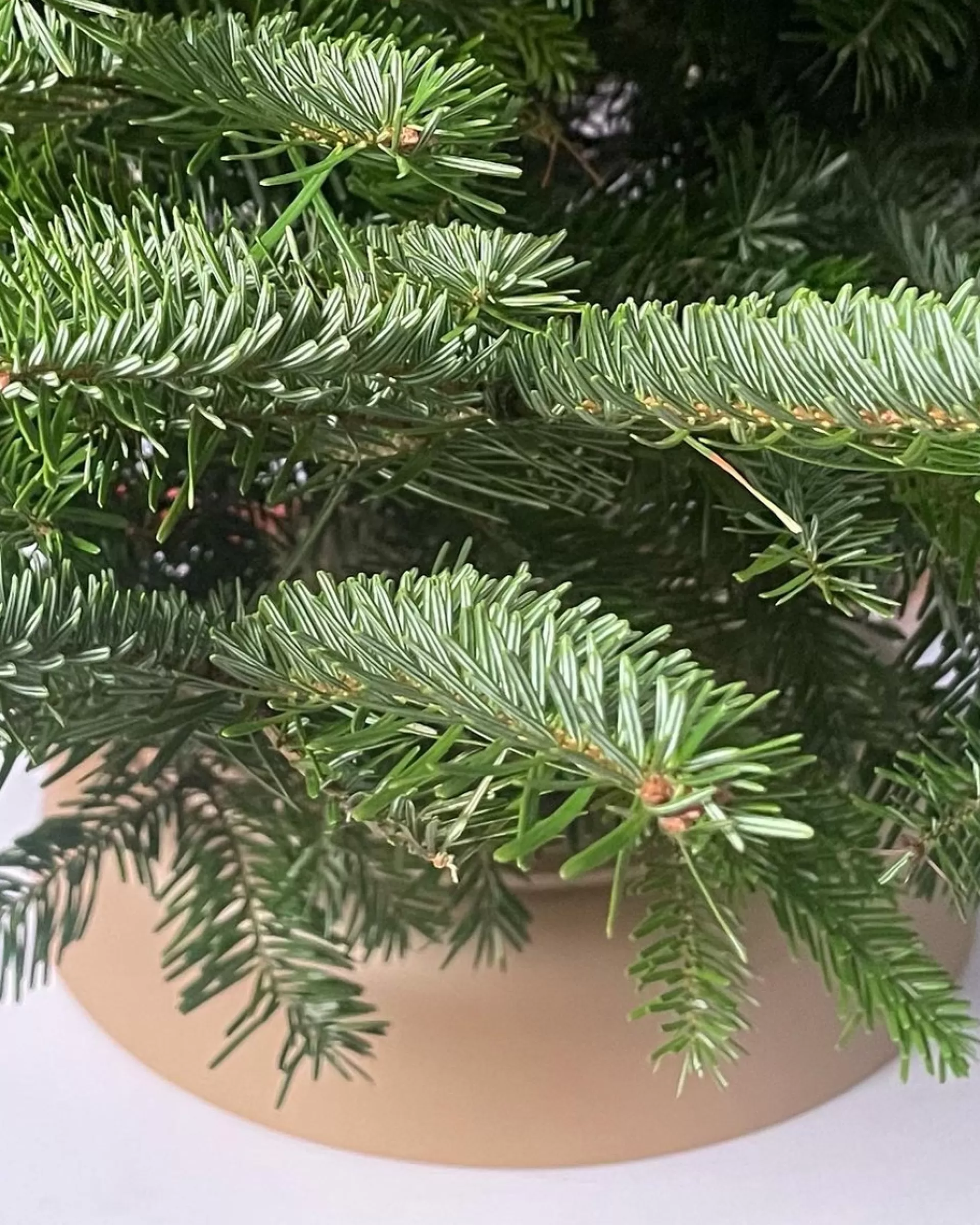 Quictreestand Quicktreestand Kerstboom Standaard Metaal 39Cm Met Pin Voor Voor Geboorde Bomen Met Gat Fashion