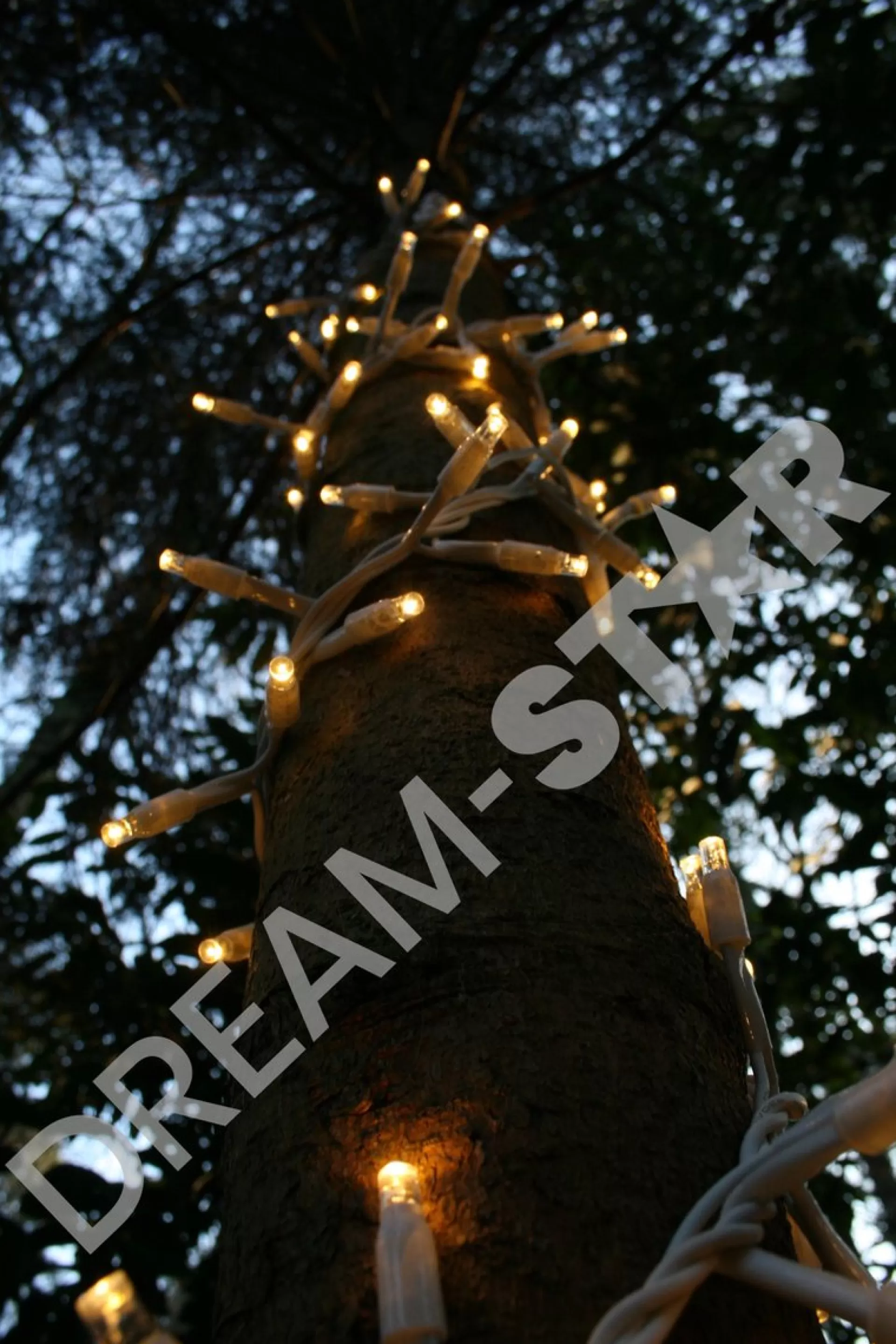 Silver winglinks Kerstlichtsnoeren>Silver Wing Links Cluster Verlichting 2M - Witte Kabel - Warmwit - Koppelbare Verlichting